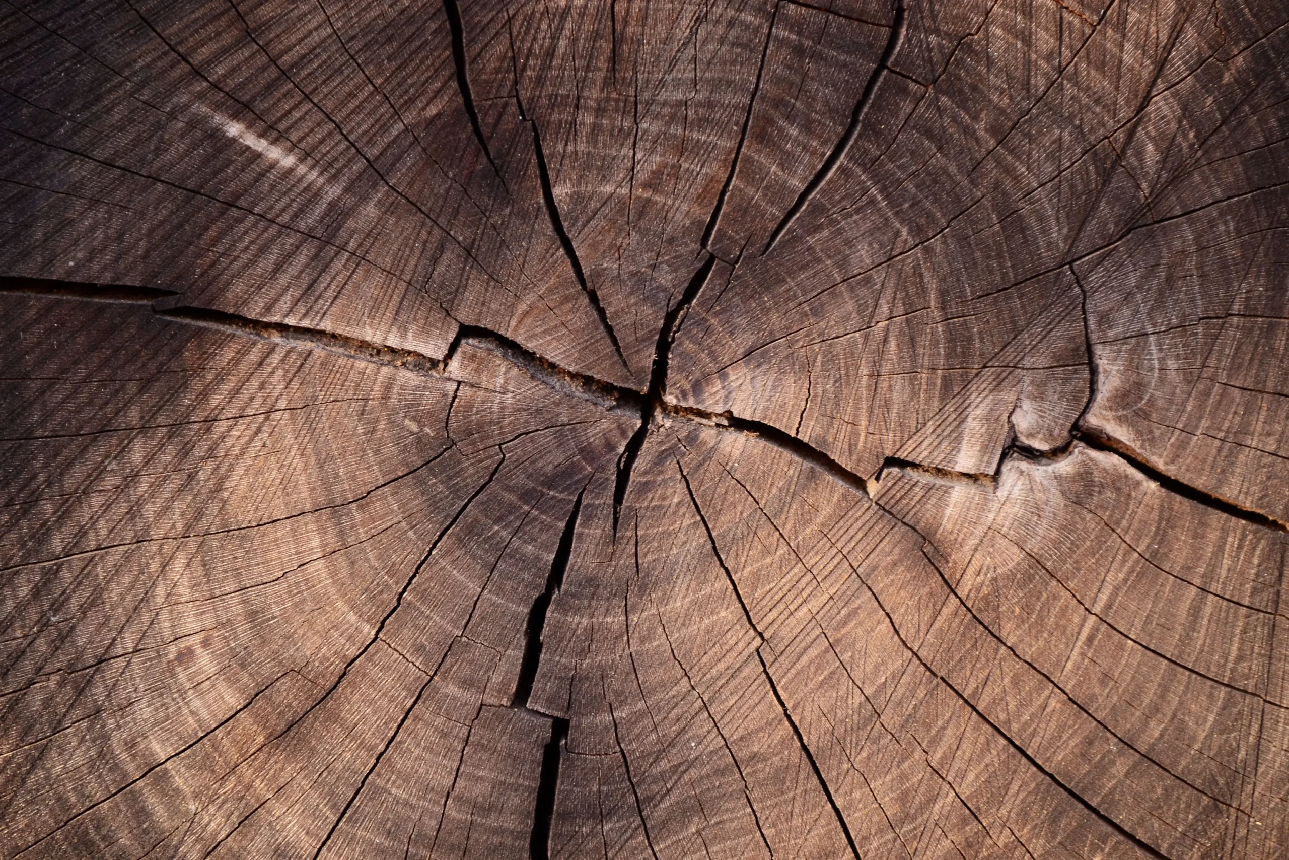Materiale in legno lavorato con tecnologie intelligenti per l’industria sostenibile del futuro