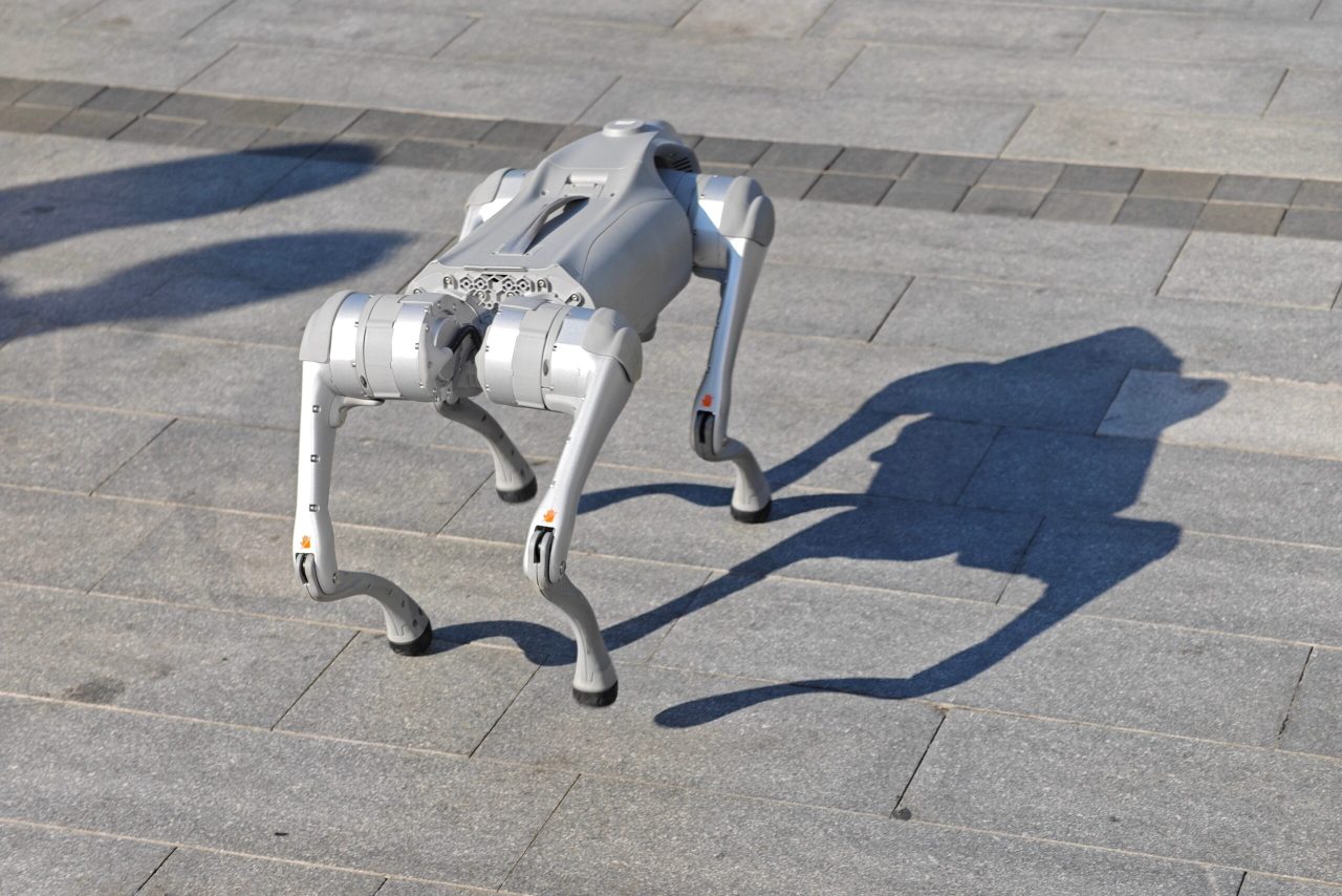 Cani Robot HF