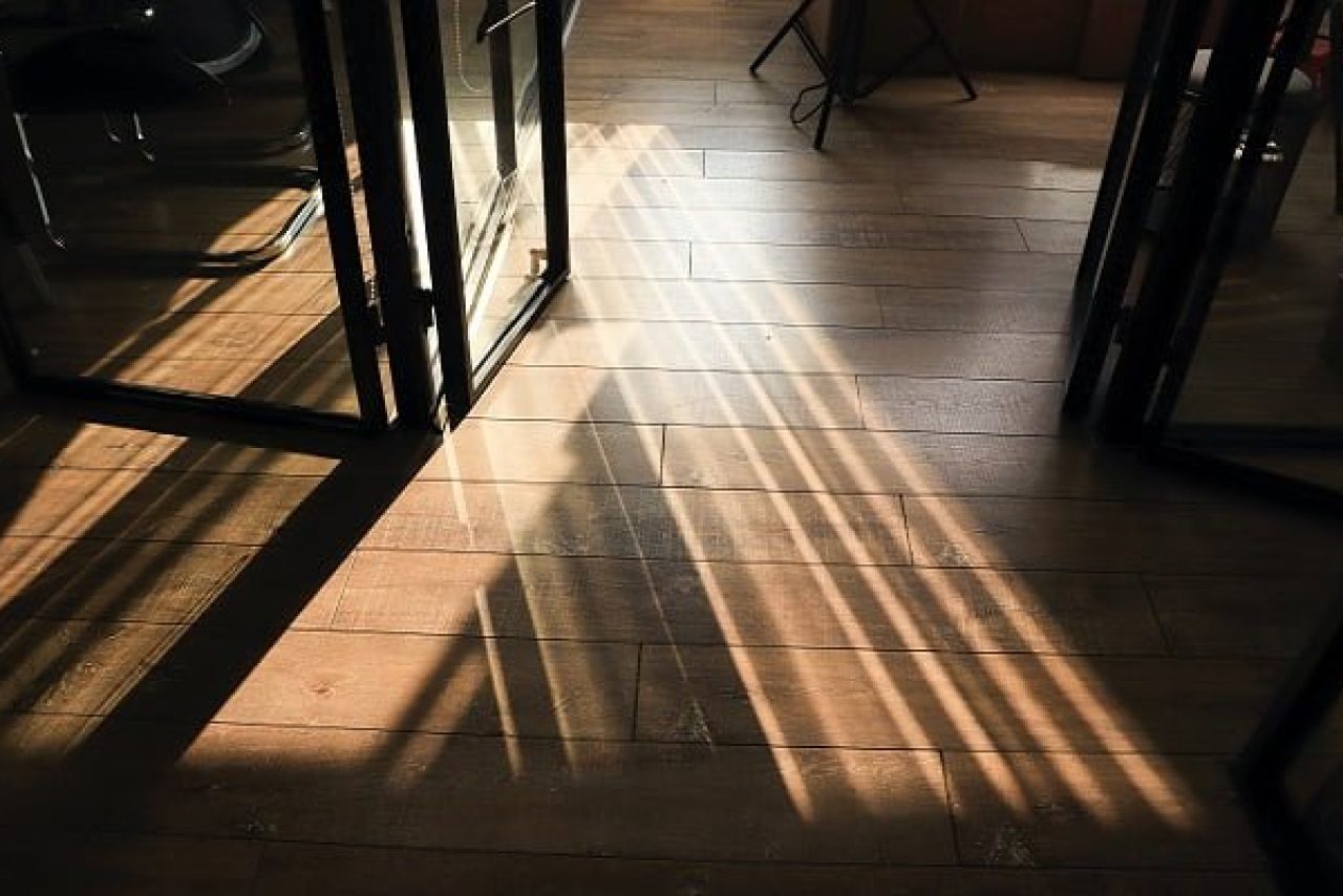 biodeterioramento legno