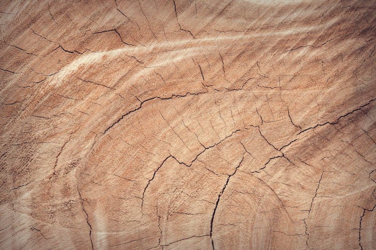 legno