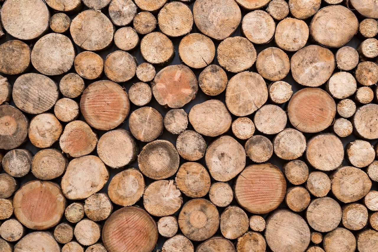 legno PEFC caratteristiche