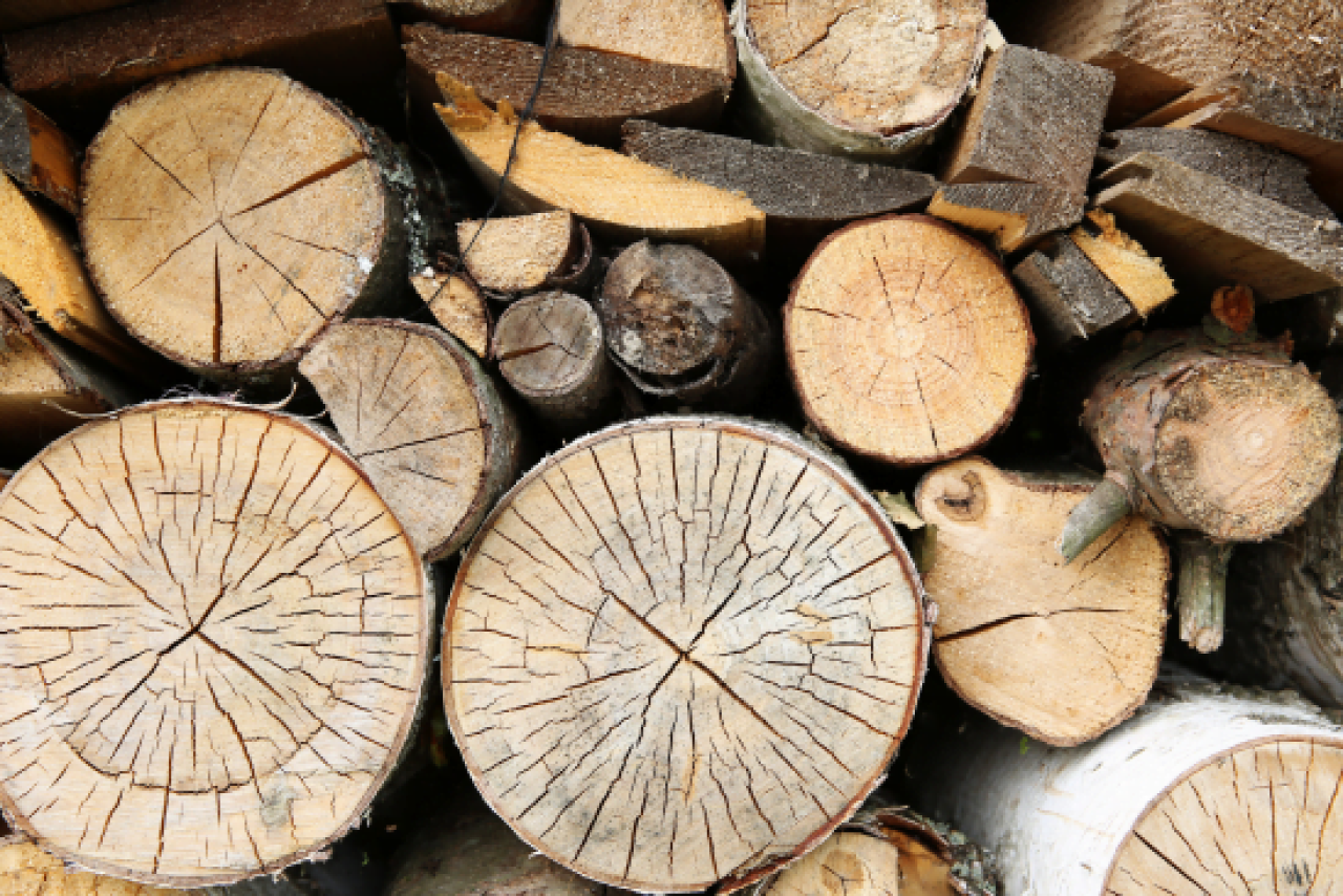legno_tendenze_2022