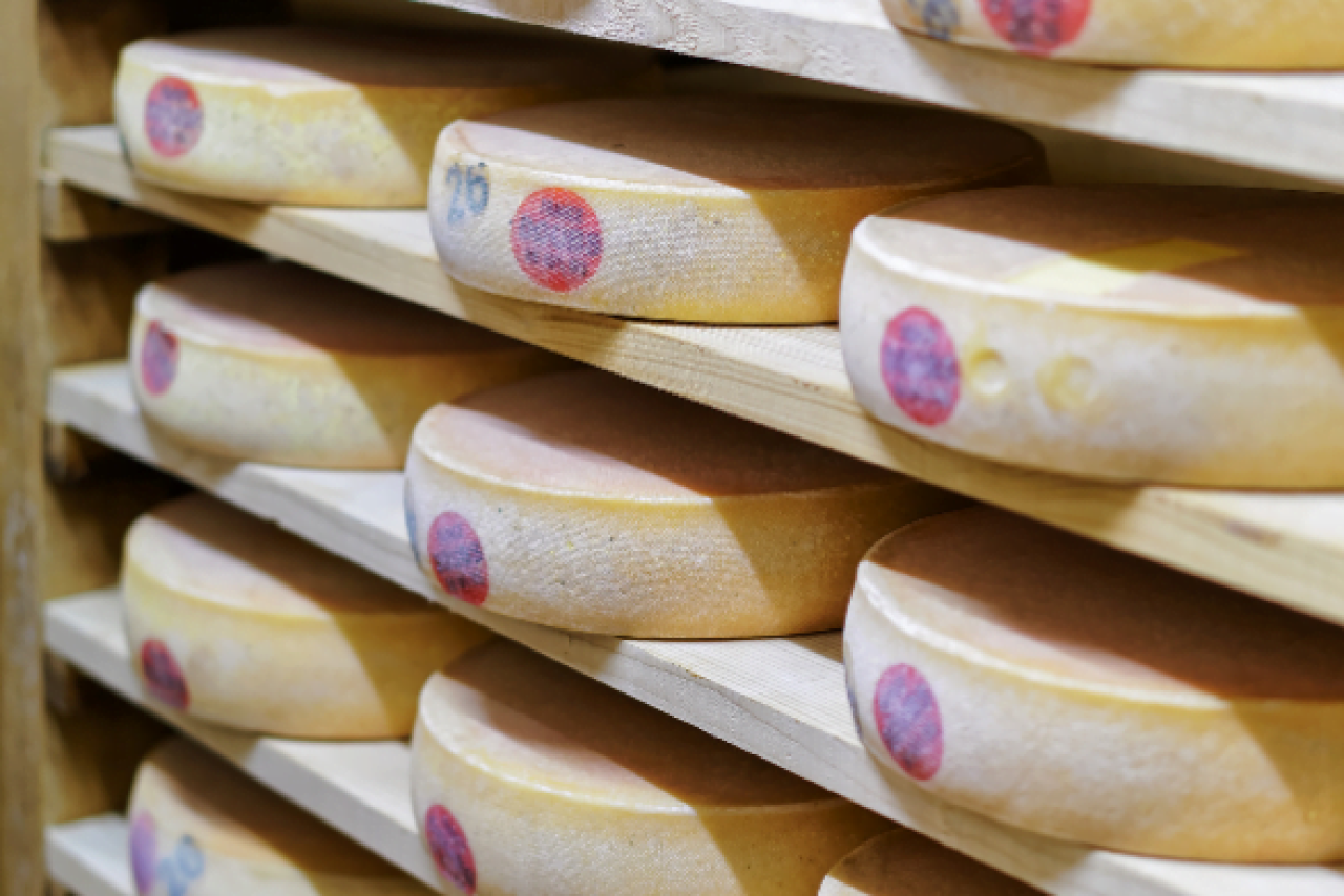 stagionatura formaggio 4.0